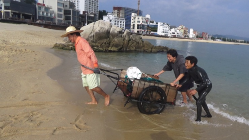 ◇강릉 대추무파인아트 ‘섧[섭]’ 프로젝트의 2년차 결과 전시가 다음달 31일까지 대추무파인아트에서 열린다. 사진은 작가노트 사진.