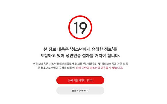 온라인 전자담배 판매점에 접속할 때 나타나는 성인 인증 절차 화면 캡처. [사진=구서윤 기자]
