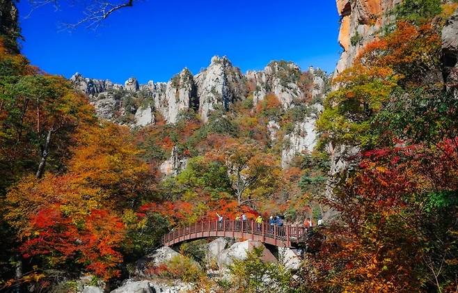 설악산국립공원/사진=클룩 제공