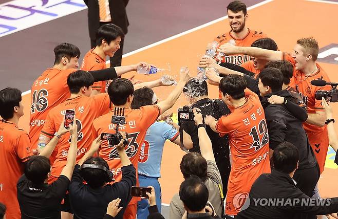 물세례 받는 OK저축은행 신영철 감독 (부산=연합뉴스) 강선배 기자 = 27일 부산 강서체육관에서 열린 프로배구 V리그 남자부 OK저축은행 읏맨과 삼성화재 블루팡스의 경기에서 통산 300승을 이룬 신영철 감독에게 선수들이 축하 물세례를 하고 있다. 2025.11.27 sbkang@yna.co.kr