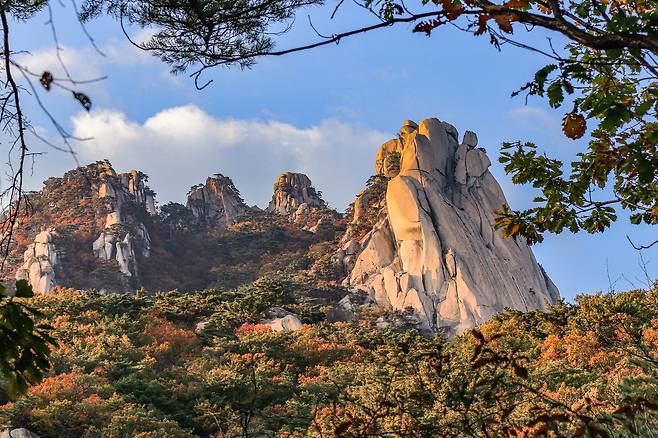 The peaks of Dobongsan in Seoul's Bukhansan National Park (Korea National Park Service)