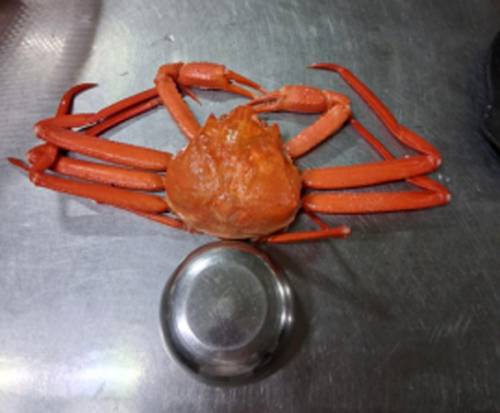 ◇사진=온라인 커뮤니티 보배드림 갈무리.