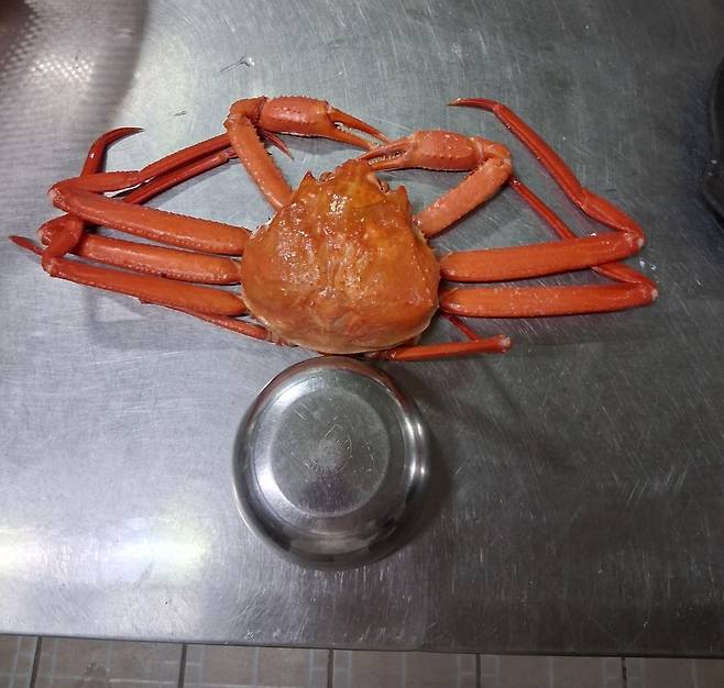 속초 현지에서 홍게 가격 부풀리기 피해를 당한 피해자가 공개한 사진. 출처=보배드림