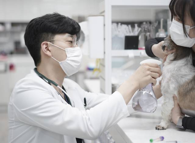 이세원 대구 바른동물의료센터 원장이 강아지를 진료하고 있다.바른동물의료센터 제공