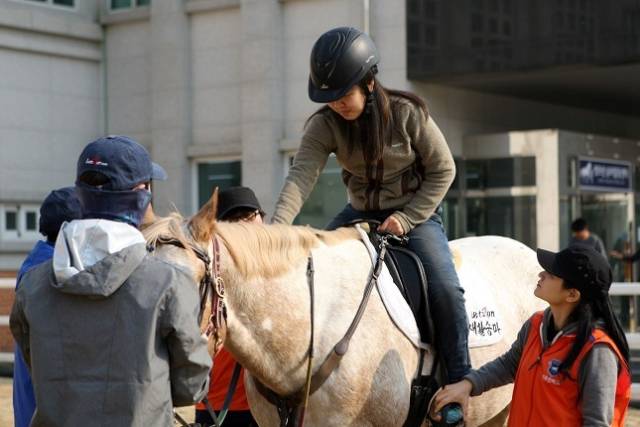 렛츠런파크 부산경남은 청소년 등을 위한 힐링 승마체험 등을 진행하며 말과의 교감을 통해 정서적 안정을 돕고 있다. 한국마사회 제공