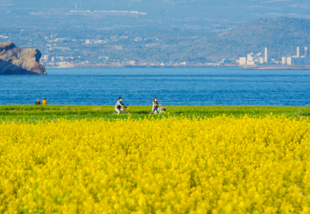 가파도. 제주특별자치도관광협회