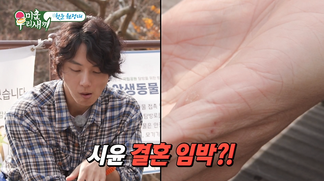 ▲ 윤시윤. 출처| SBS 미운 우리 새끼 방송 캡처