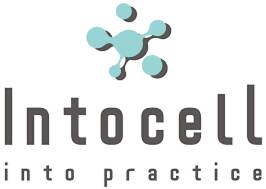 /사진제공=인투셀