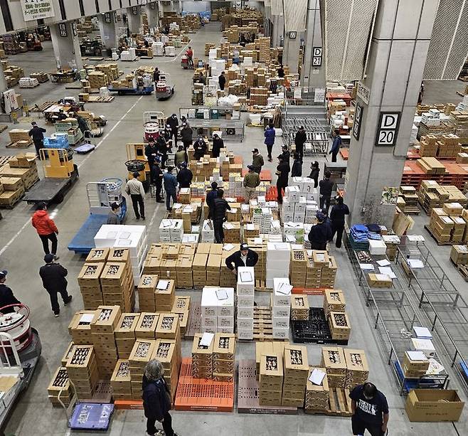 [도쿄=뉴시스] 26일 오전 6시30분께 일본 도쿄도 도요스시장 청과동 모습. (사진=임소현 기자) *재판매 및 DB 금지