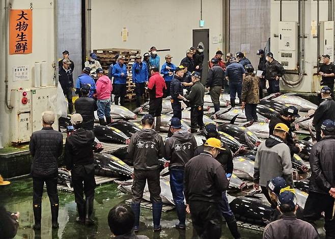 [도쿄=뉴시스] 26일 오전 5시30분께 일본 도쿄도 도요스시장 수산물 도매동 모습. (사진=임소현 기자) *재판매 및 DB 금지