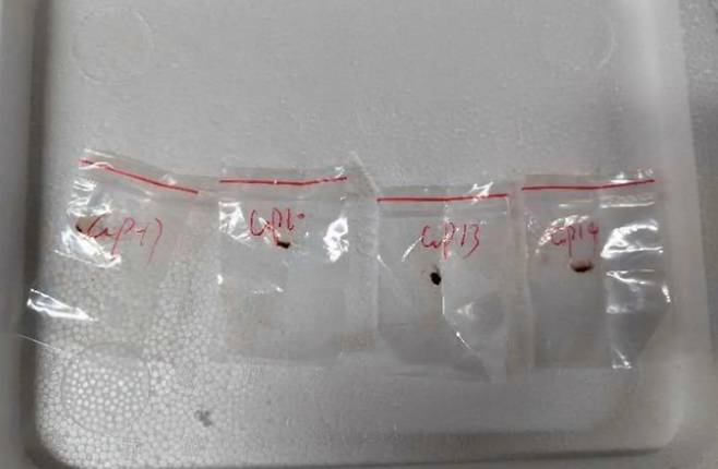 [출처=뉴욕포스트]