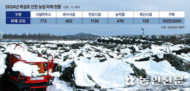 지난해 11월 경기 화성시 남양읍 안석리의 사과 과수원 방조망이 쌓인 눈에 주저앉으며 사과나무를 덮쳐 형체를 알아보기 어려워진 모습. 농민신문 DB