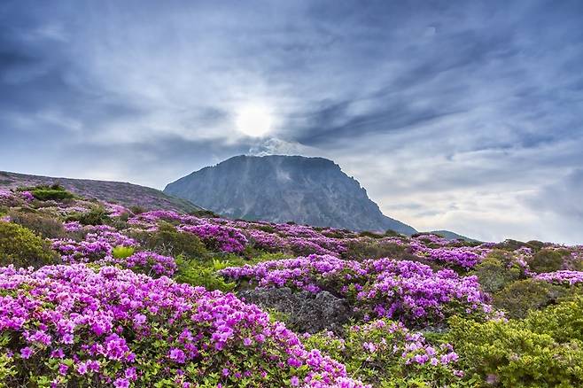 사진 = 스카이스캐너 제공