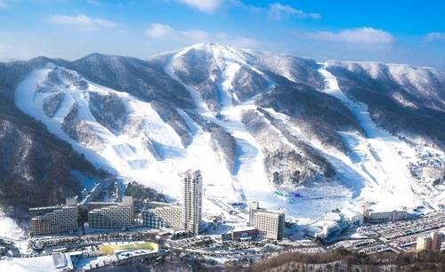 휘닉스 스노우 파크 전경