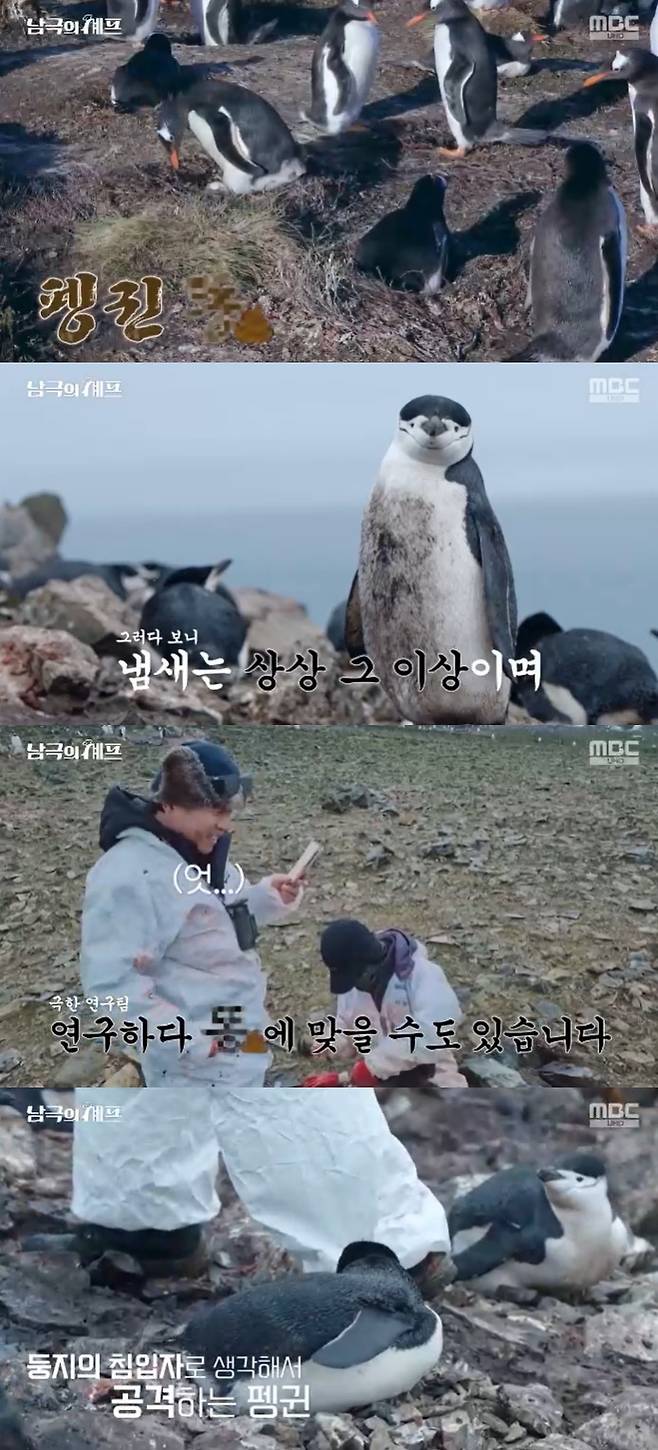 /사진=MBC '남극의 셰프' 방송 캡처