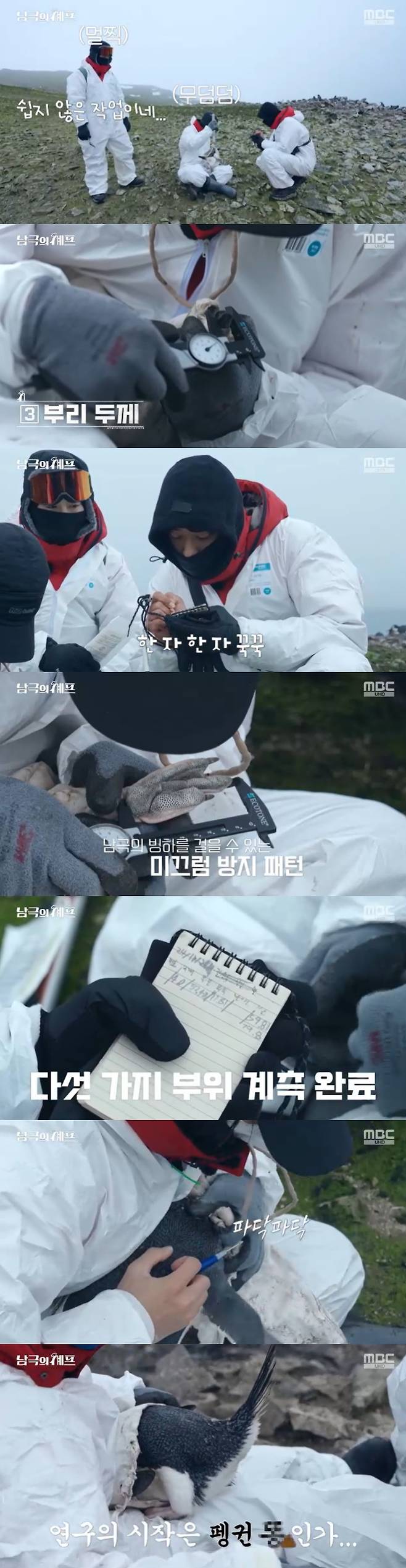 /사진=MBC '남극의 셰프' 방송 캡처