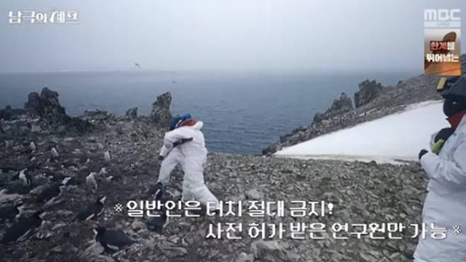 ‘남극의 셰프’. 사진| MBC