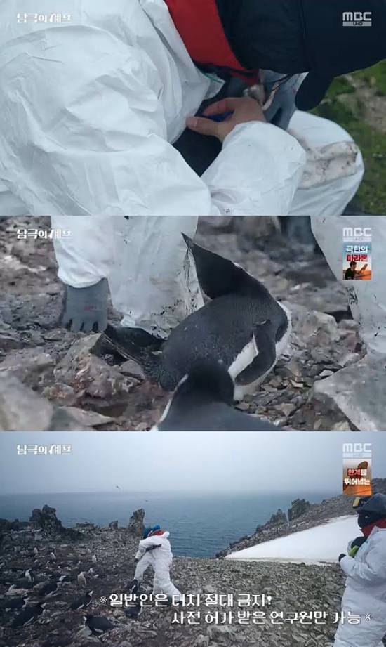 사진=&nbsp;MBC '기후환경 프로젝트 - 남극의 세프' 방송 캡처