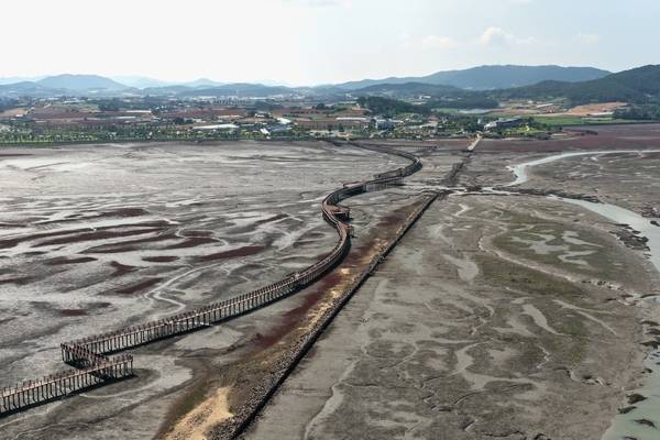 무안황토갯벌랜드는 청정갯벌 생태자원의 체계적인 보전 관리와 관광 자원화를 통한 지역경제 활성화에 이바지하고 있다. 최근 바다 위 다리를 걸으며 갯벌의 생태를 가까이서 체험할 수 있도록 국내에서 가장 긴 목재 해상 보행교를 설치했다. /무안군 제공