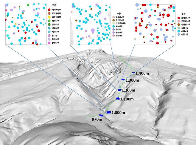 어리목 탐방로 수목 분포도 / 사진=제주도
