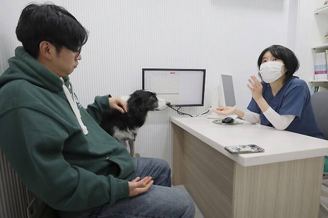 1일 오후 서울 종로구 ‘올리브 동물병원’ 박정윤 원장(오른족)이 ‘인도적 반려동물 진료 훈련’을 받은 보더콜리 ‘바벨’을 진료하고 있다. 최현수 기자 emd@hani.co.kr