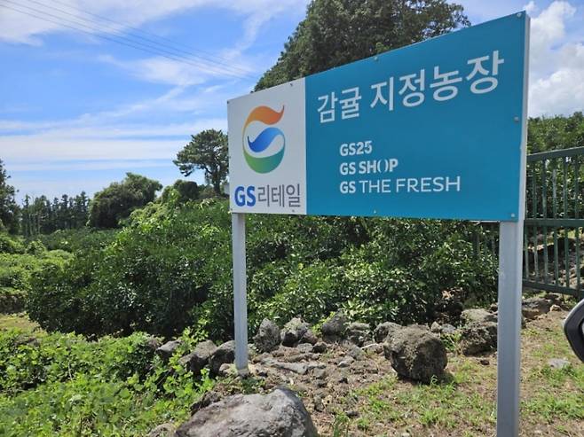 제주도 소재 GS리테일 감귤 지정농장 / 사진=GS리테일 제공