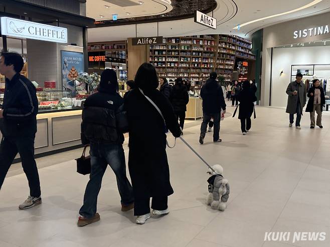 한 방문객이 반려견과 함께 빌리지 내부를 둘러보고 있다. 심하연 기자