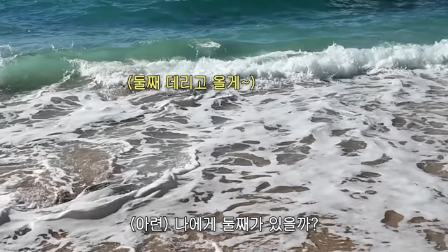 황보라 유튜브