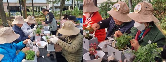 서울 은평구 어르신들이 반려식물을 기르고 가꾸는 모습. 은평구 제공