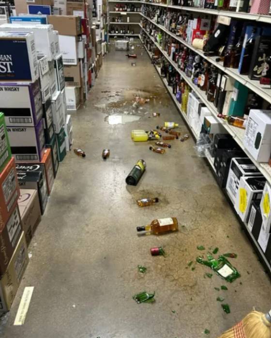라쿤이 진열된 술들을 마시면서 매장이 난장판이 됐다. 뉴욕포스트