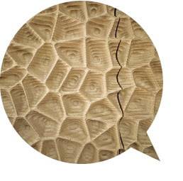 석고·폐지·섬유를 조합한 
친환경 음향판 '화이트 스킨'