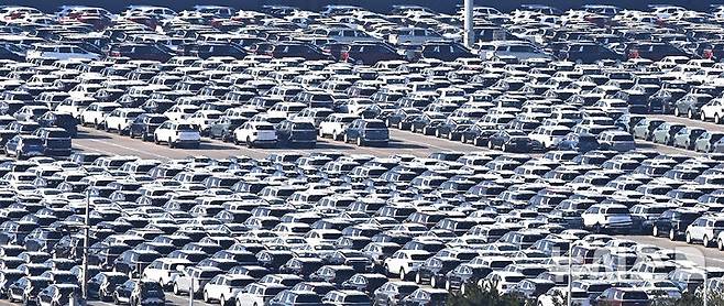 [평택=뉴시스] 지난 10월 경기 평택시 포승읍 평택항 자동차 전용부두에 선적을 기다리는 수출용 차량이 주차돼 있다. (사진=뉴시스DB)