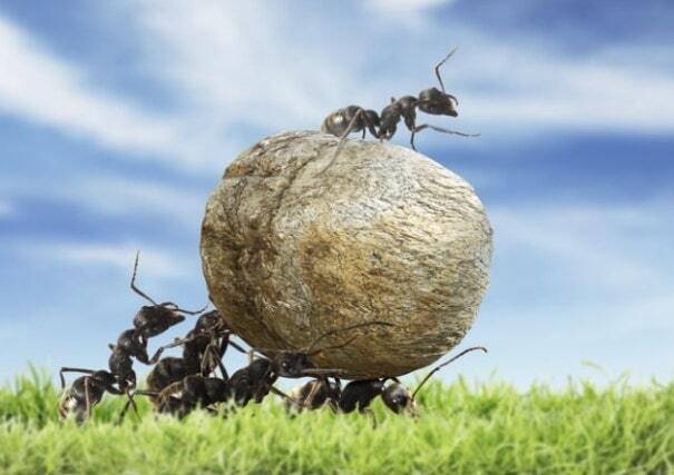 반대매매 확산은 투자자에게 ‘레버리지 원칙’을 다시 세우라는 의미다. 게티이미지