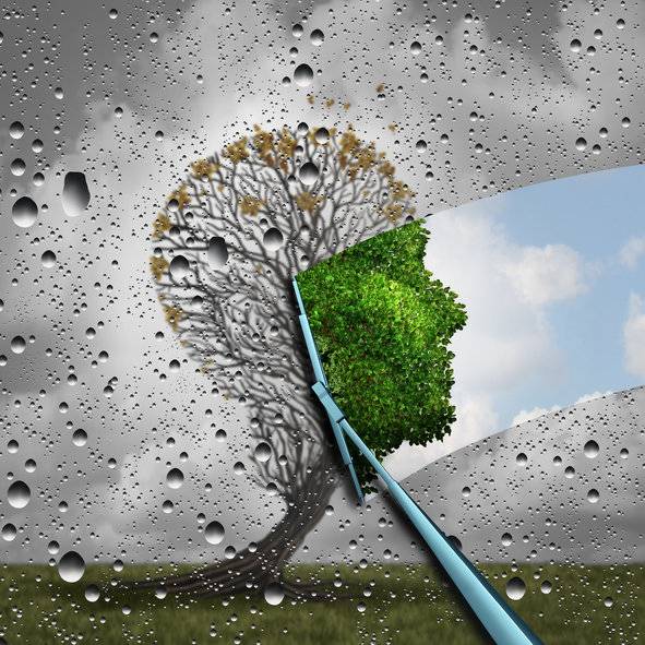 옥시토신과 Alk5 억제제 병용 시, 늙은 수컷 생쥐 수명이 70% 향상됐다. 사진=게티이미지코리아.