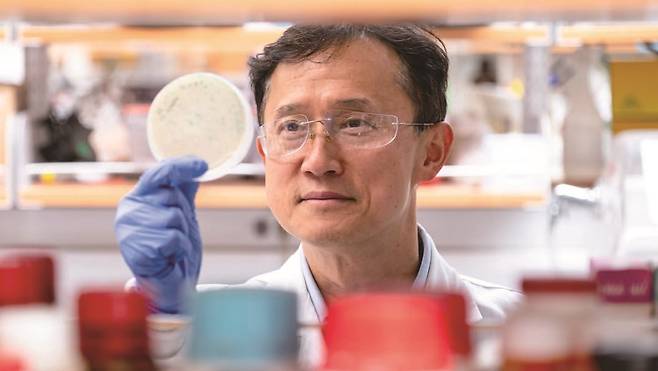 이승욱 - UC 버클리 생물공학과 교수. /사진 UC 버클리