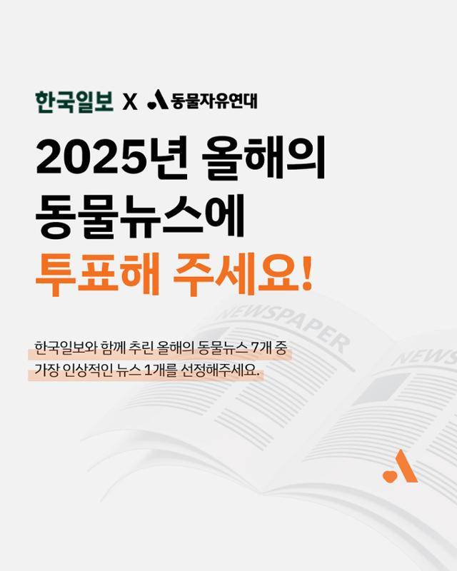 올해의 동물뉴스. 동물자유연대 제공