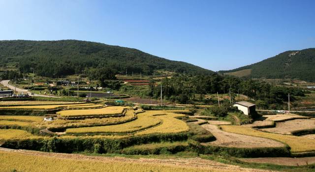 청산도 ‘구들장 논’