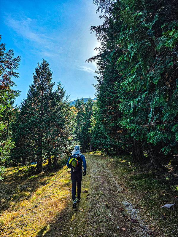 들판에 난 임도를 통해 컨트롤을 찾아다니고 있다. 컨트롤을 찾기 위해 정해진 등산로로만 다니지 않아도 된다. 산 전체가 코스로 활용된다.