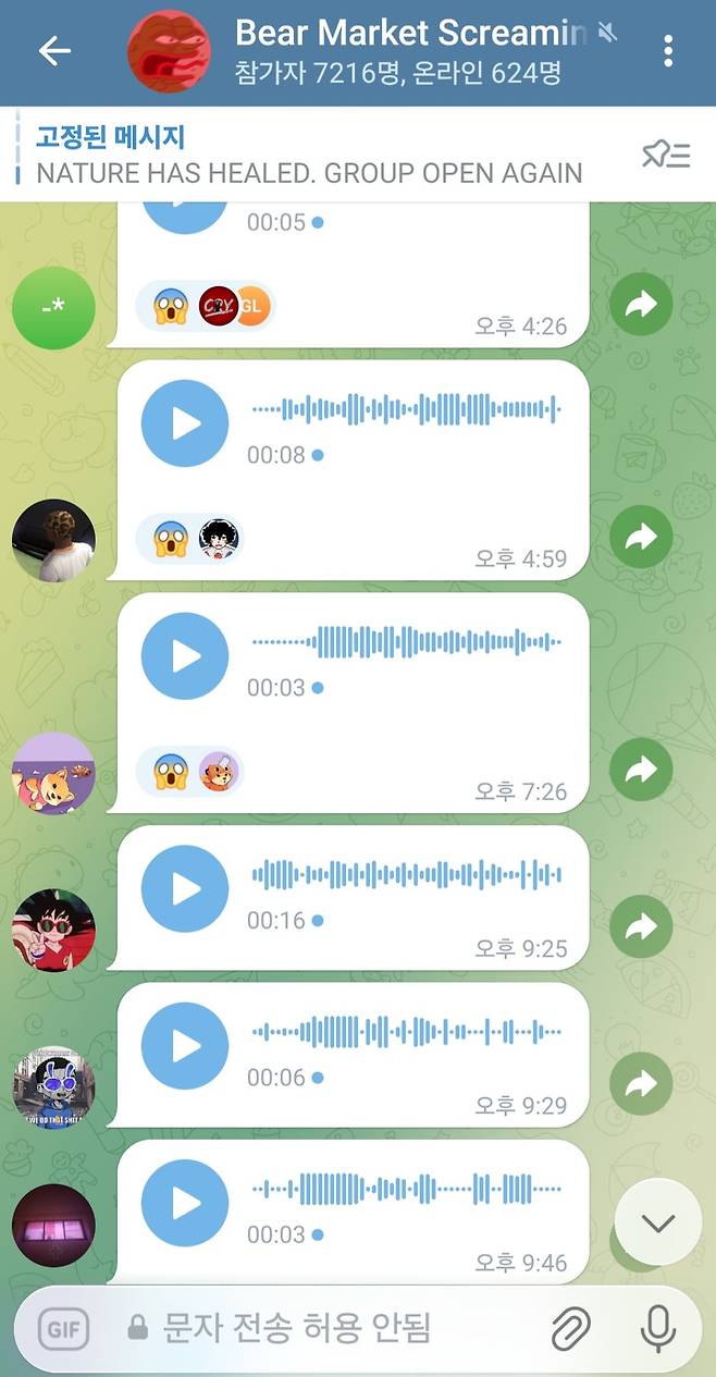 텔레그램방 '약세장 비명 치료 그룹'에서 음성 파일로 울부짖고 있는 투자자들. "나만 잃은 게 아니구나"라는 묘한 위안을 얻게 된다. /텔레그램
