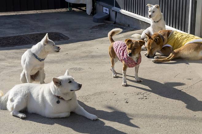 따뜻한 햇살이 쏟아지던 오후 아이들이 카페 앞 마당에 모여 있다. 장진영 기자