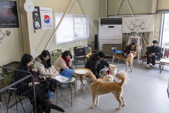 대부분의 아이들은 방문객들에게 스스럼없이 다가가 조용히 옆에 자리한다. 장진영 기자