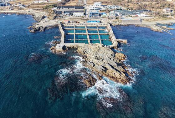 양준혁씨가 직접 운영하는 경북 포항시 방어 양식장 전경. 송봉근 객원기자