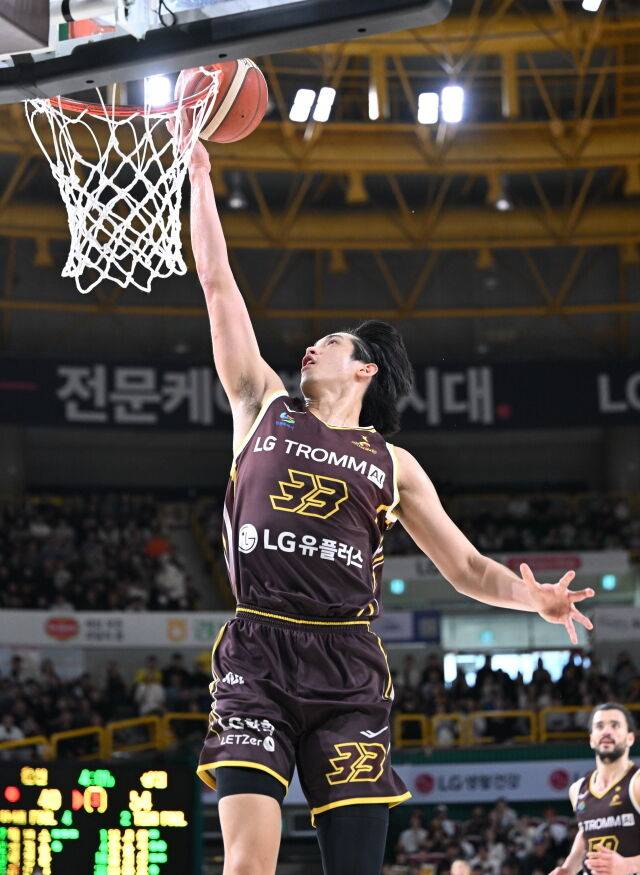 칼 타마요./KBL