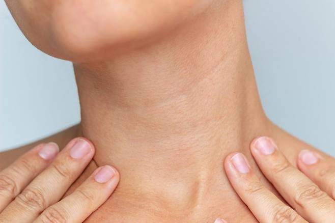 /사진=게티이미지뱅크