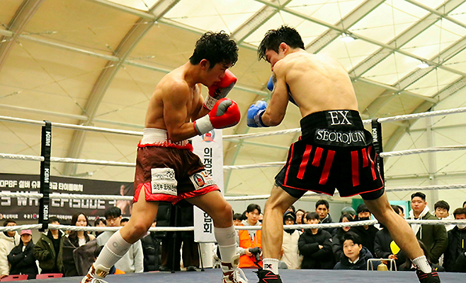 강성철이 2025년 12월 경기도 의정부시청 모두의 운동장 동양태평양복싱연맹 슈퍼페더급 실버 챔피언결정전에서 서로준을 공격하고 있다. 사진=KBM 한국복싱커미션