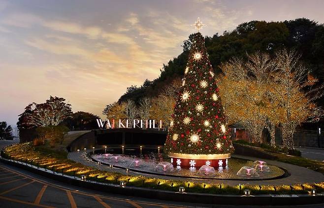 워커힐 야외 대형 크리스마스 트리 *재판매 및 DB 금지