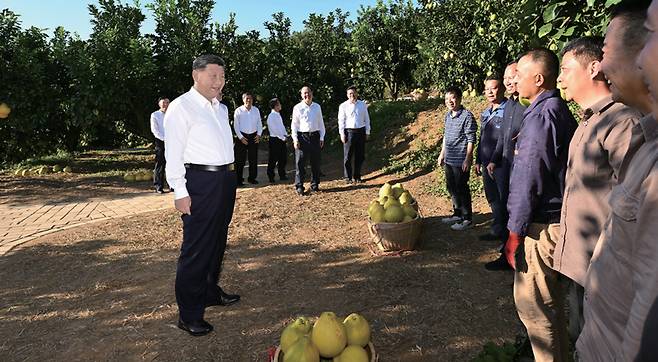 시진핑 중국 국가주석이 11월 8일 중국 광둥성 메이저우시 농업 생산기지를 방문하고 있다. ⓒXinhua 연합