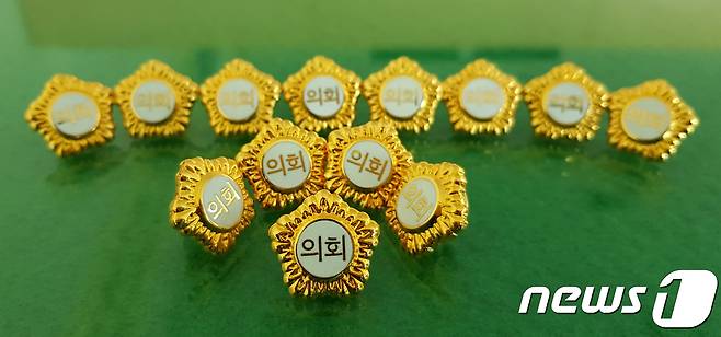 기초의원 뱃지.2018.6.21/뉴스1 ⓒ News1 최창호 기자