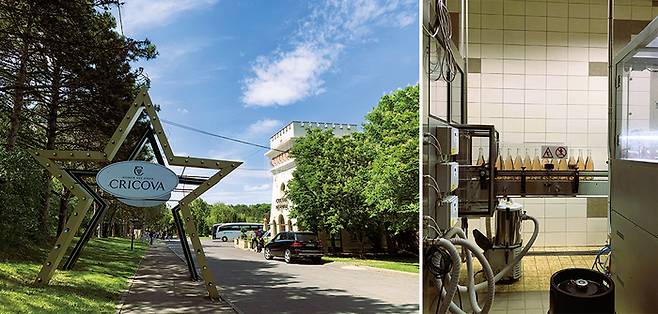 (좌)크리코바 와이너리 외부 전경 (우)크리코바 와이너리의 스파클링 와인 생산 시설 전경