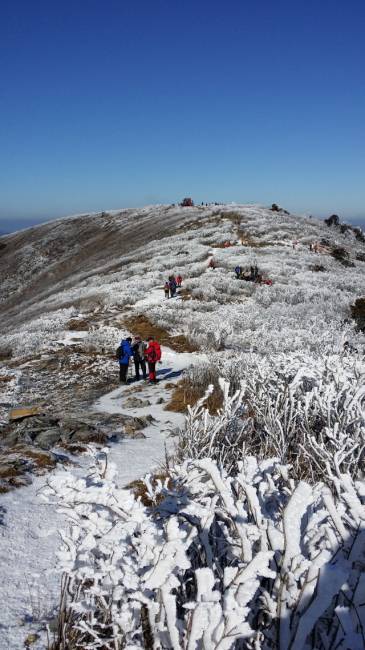 ▲ 태백산 눈꽃 설경